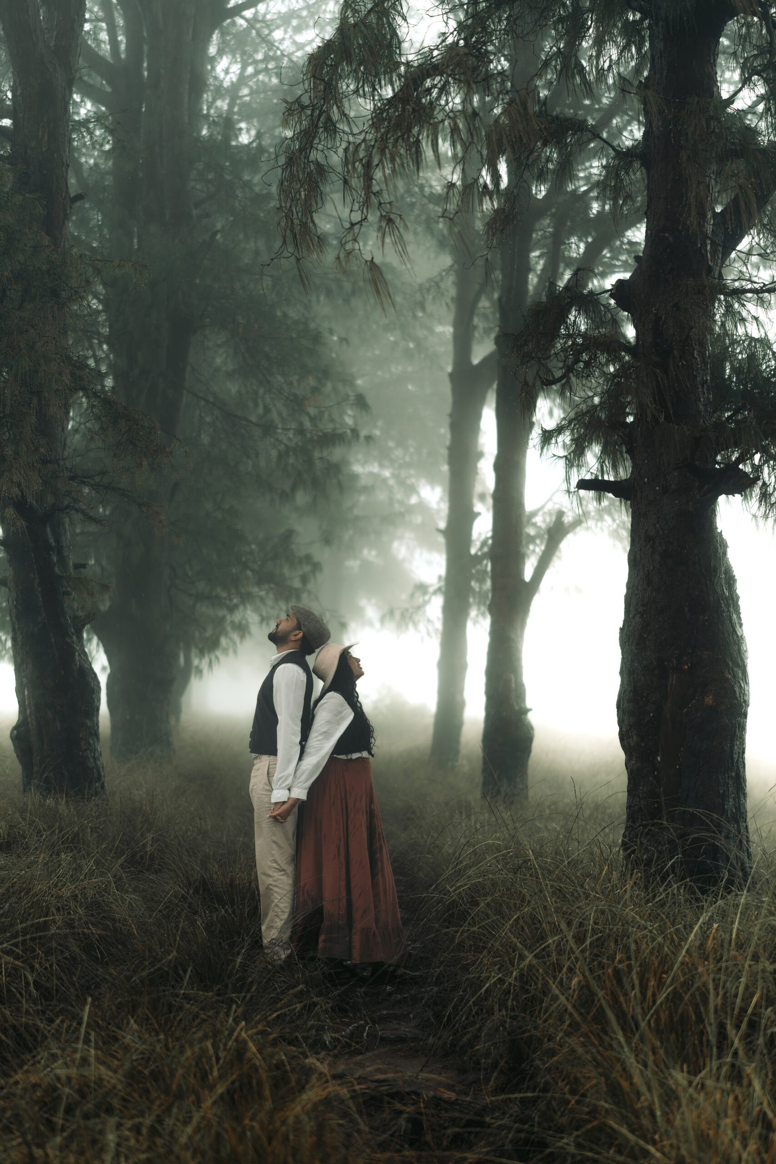 Cinematography Camera