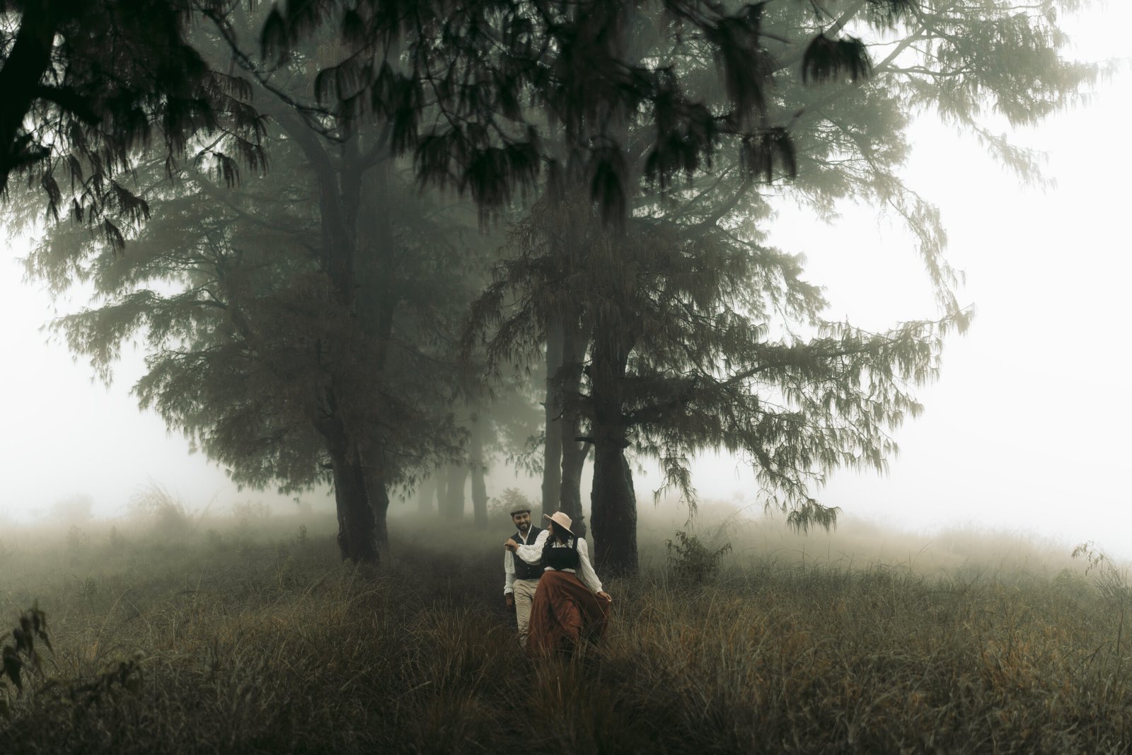 Portfolio Background